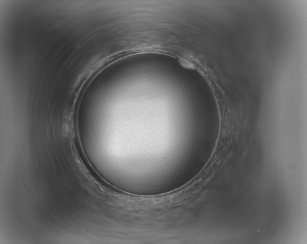 X0000062900002200601131412