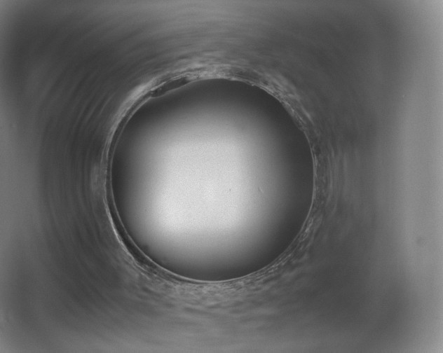 X0000062900003200601131412