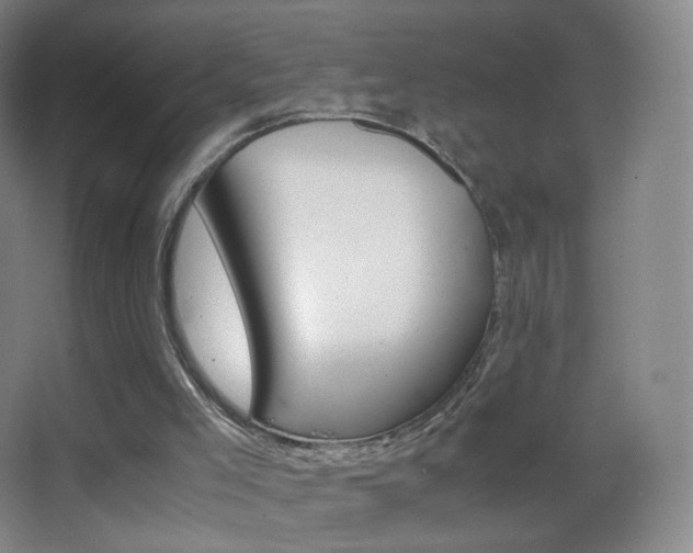 X0000062900005200601131412