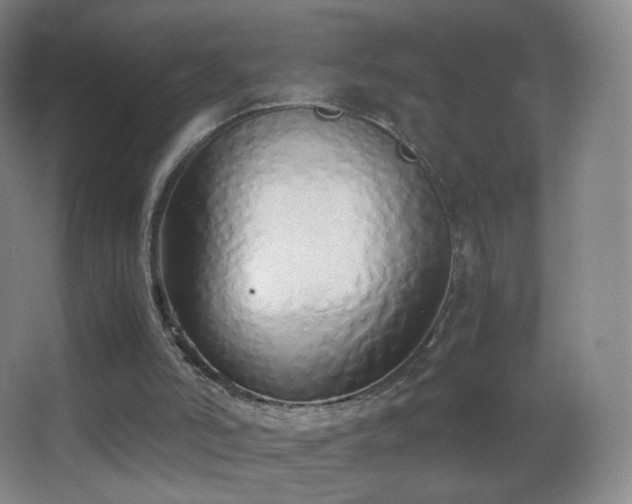 X0000062900006200601131412