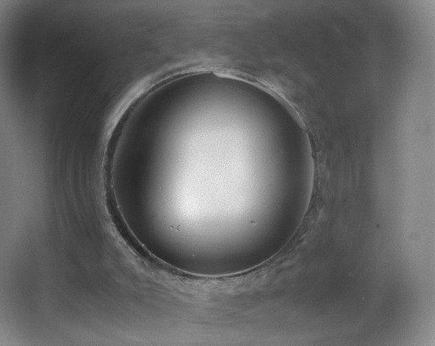X0000062900007200601131412