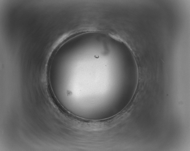X0000062900008200601131412
