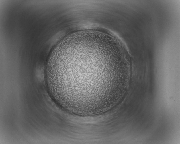 X0000062900010200601131412