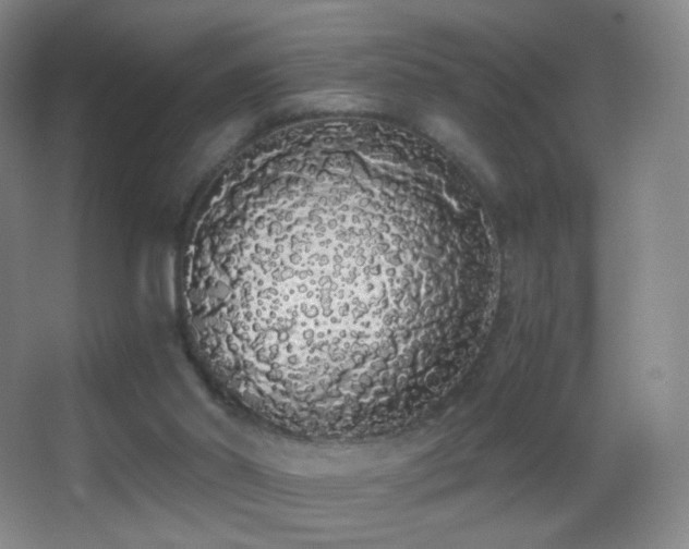X0000062900014200601131412