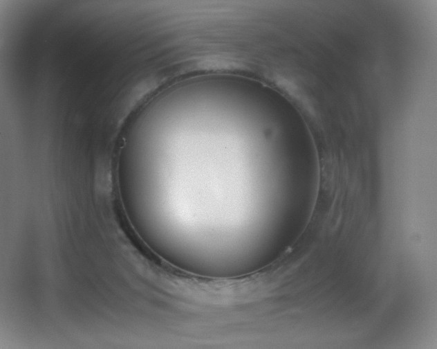 X0000062900015200601131412