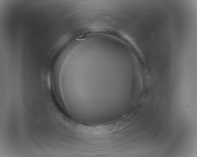 X0000062900019200601131412