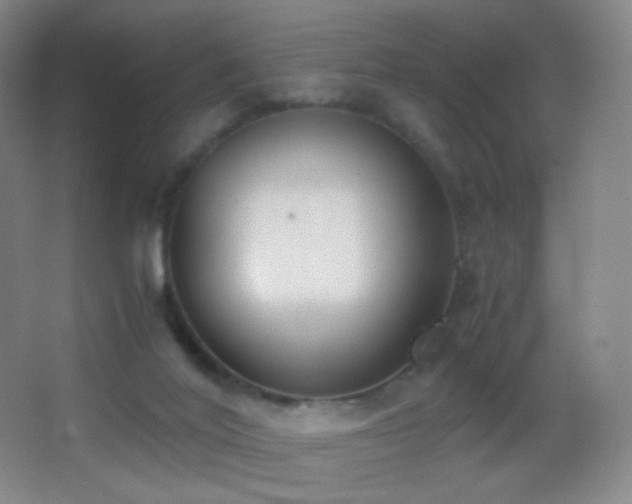 X0000062900020200601131412