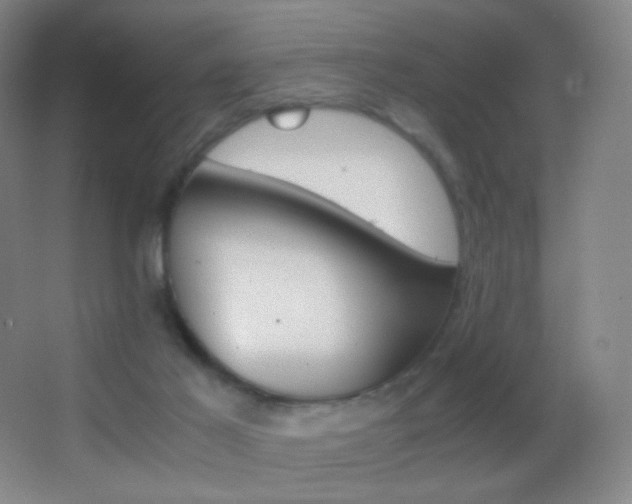 X0000062900021200601131412