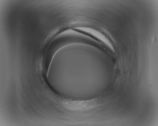 X0000062900023200601131412