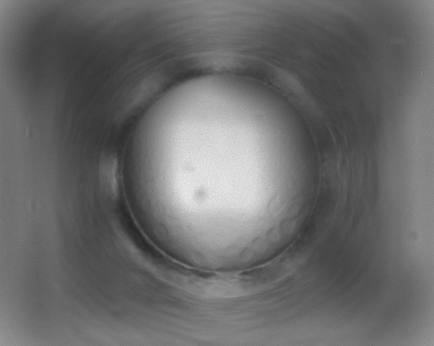 X0000062900024200601131412