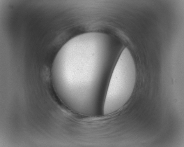 X0000062900025200601131412