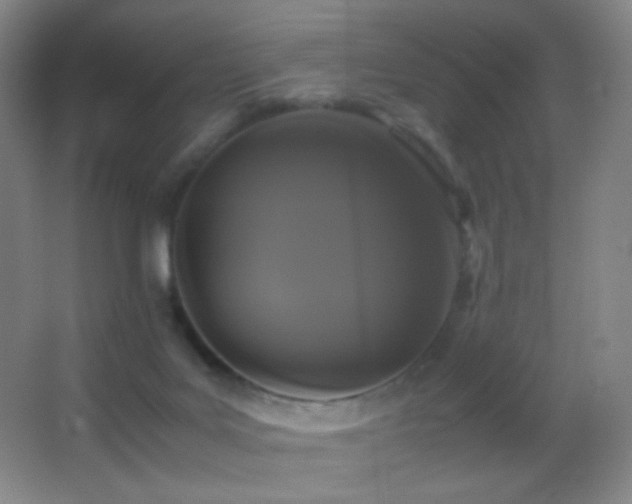 X0000062900027200601131412