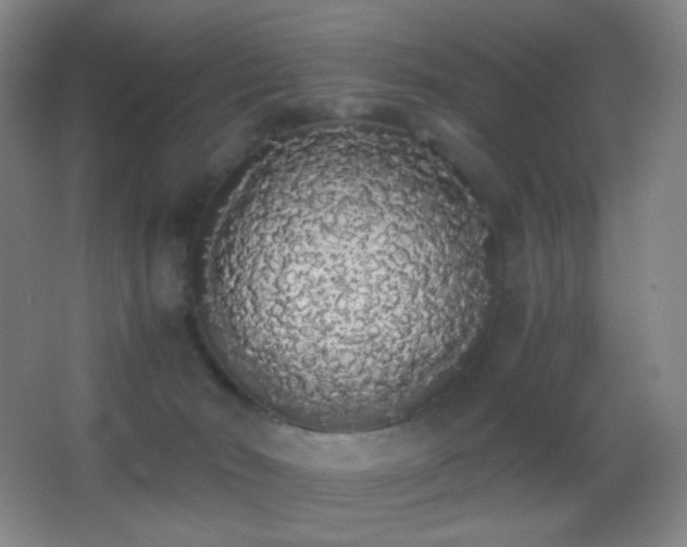 X0000062900030200601131412