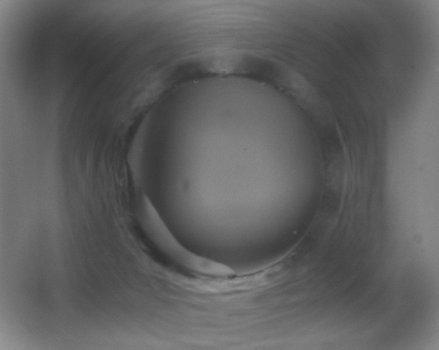 X0000062900031200601131412