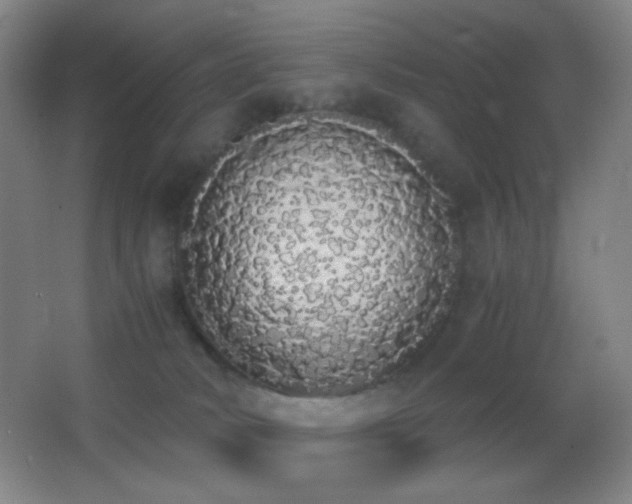 X0000062900034200601131412