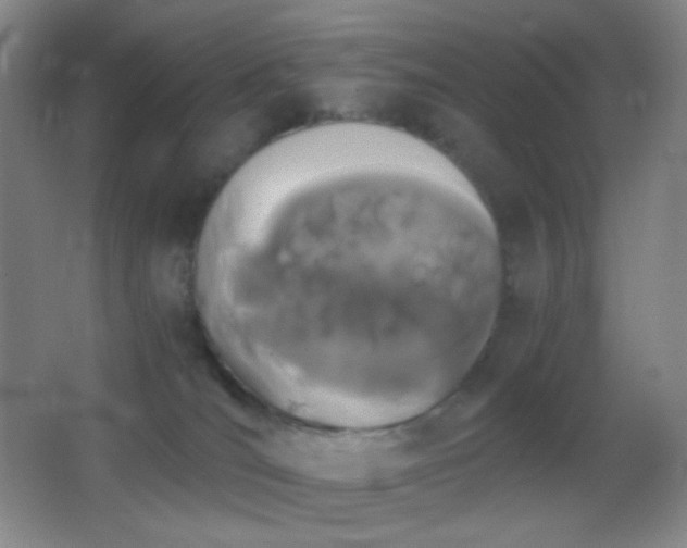 X0000062900036200601131412