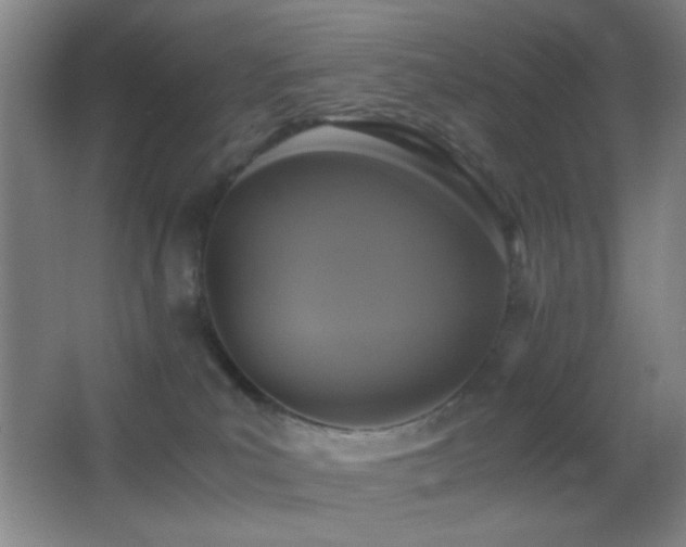 X0000062900039200601131412