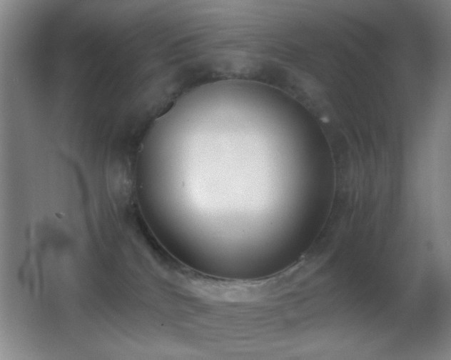 X0000062900040200601131412