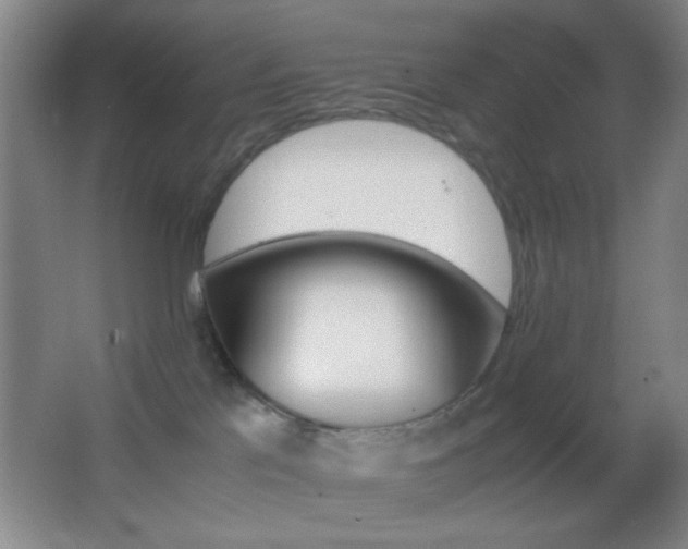 X0000062900041200601131411