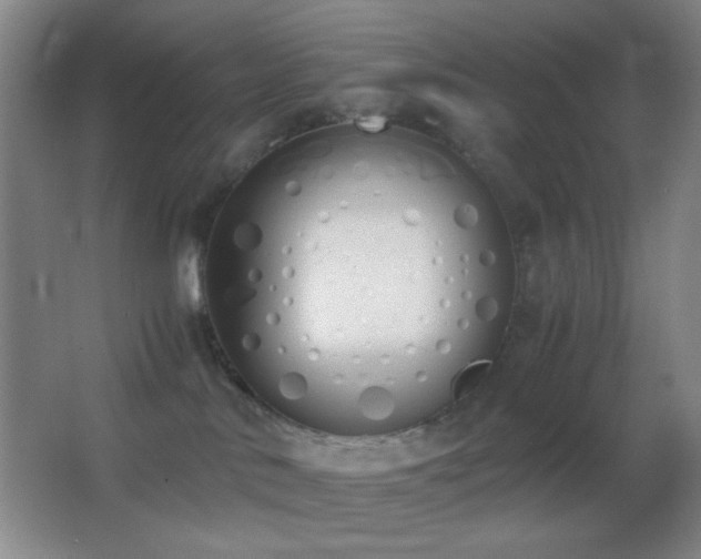 X0000062900042200601131411