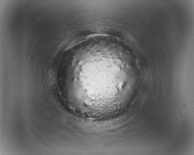 X0000062900043200601131411