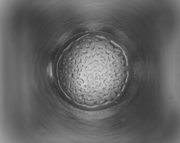 X0000062900046200601131411