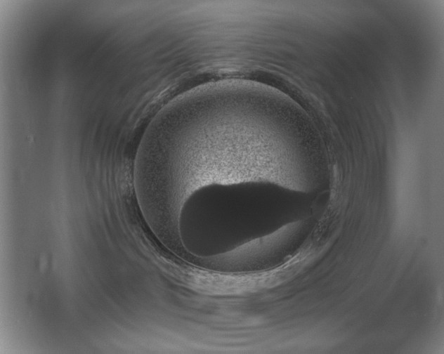 X0000062900048200601131411