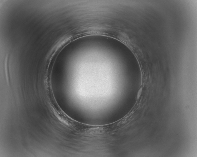 X0000062900050200601131411