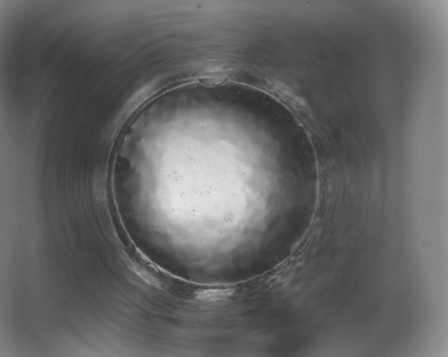 X0000062900051200601131411