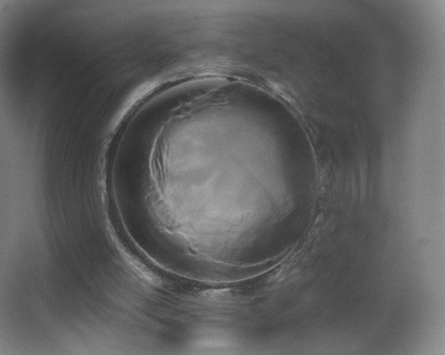 X0000062900054200601131411