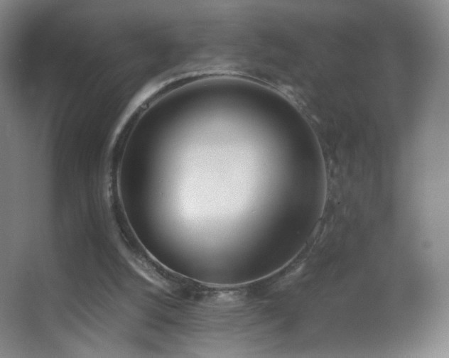 X0000062900056200601131411