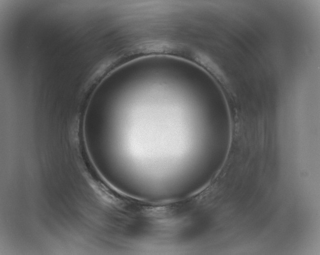 X0000062900058200601131411