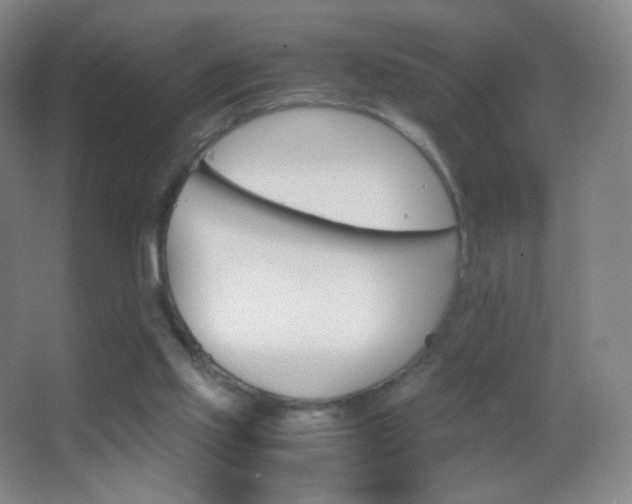 X0000062900061200601131411