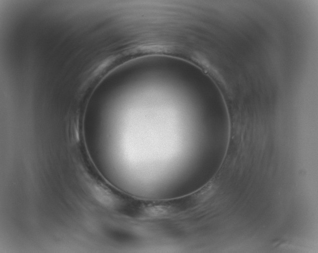 X0000062900062200601131411