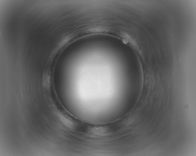 X0000062900063200601131411