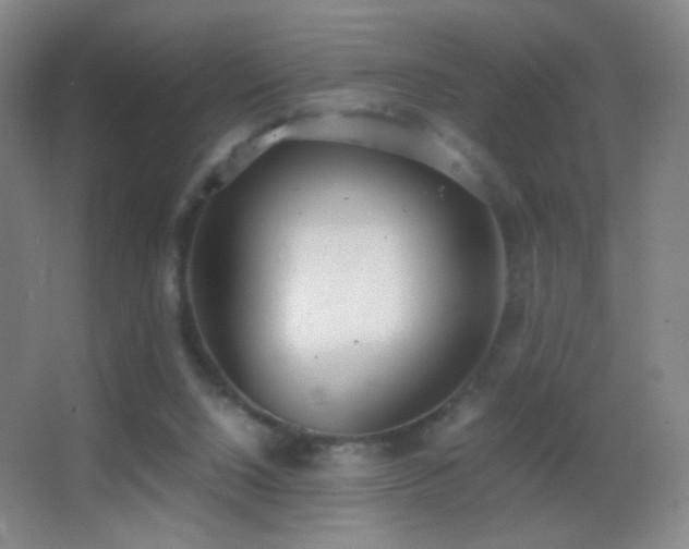 X0000062900064200601131411