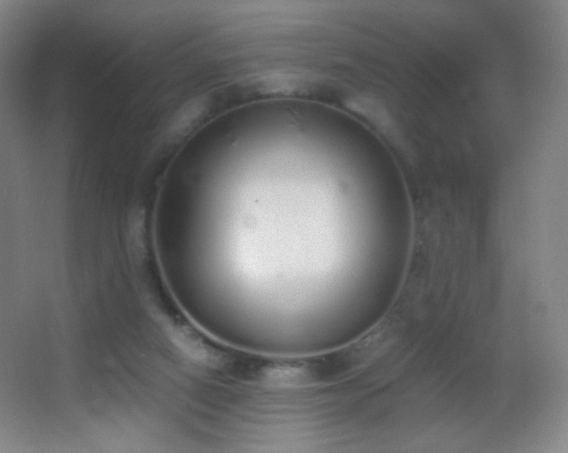 X0000062900066200601131411
