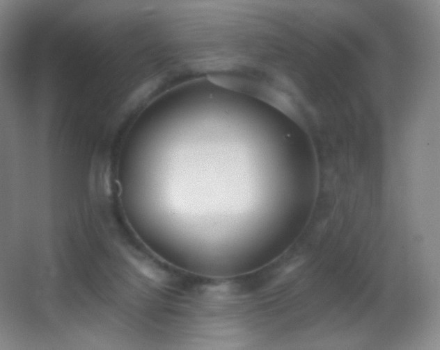 X0000062900068200601131411