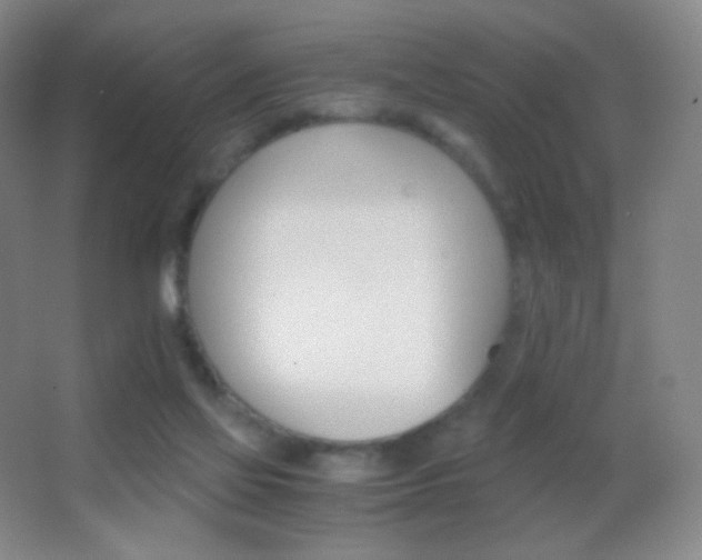 X0000062900069200601131411