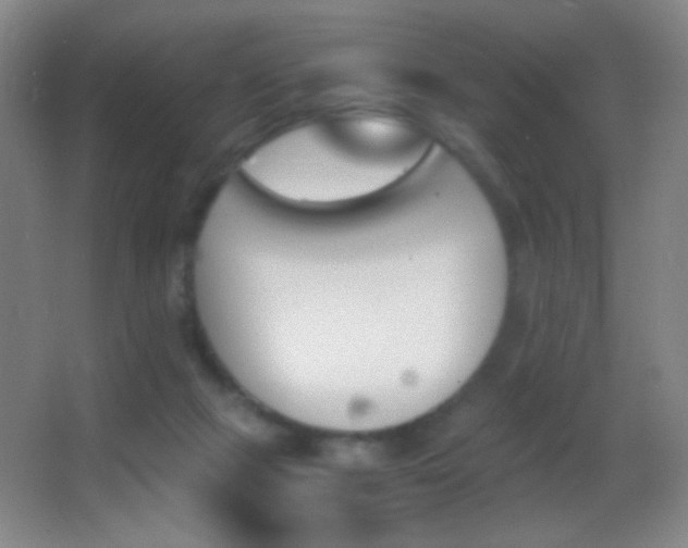 X0000062900073200601131411