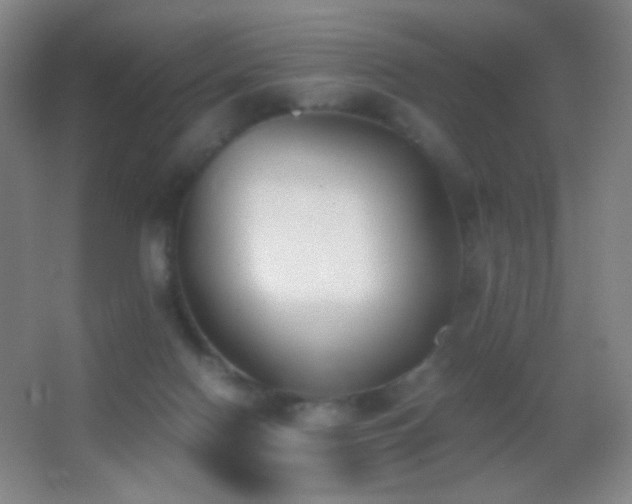 X0000062900074200601131411