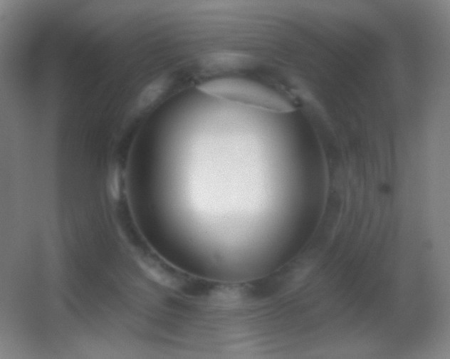 X0000062900076200601131411