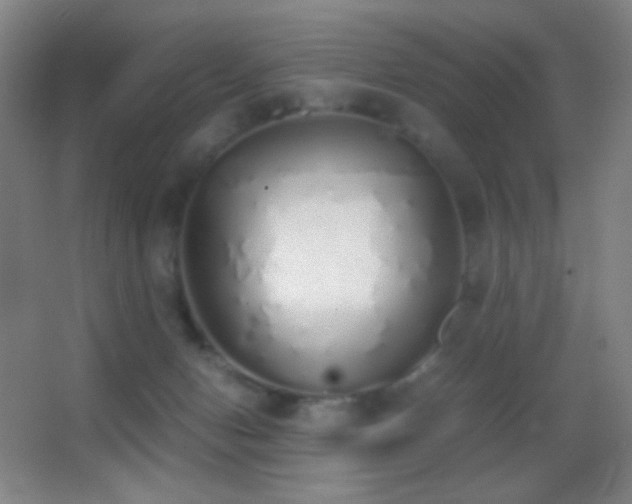 X0000062900078200601131411