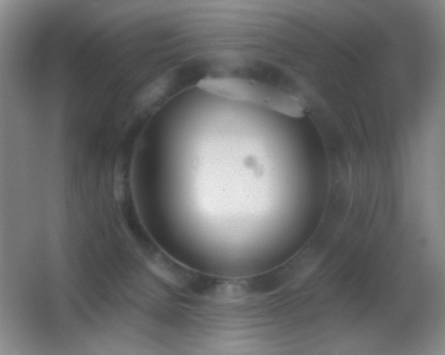 X0000062900080200601131411