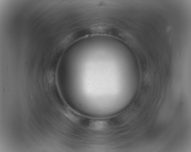 X0000062900081200601131411