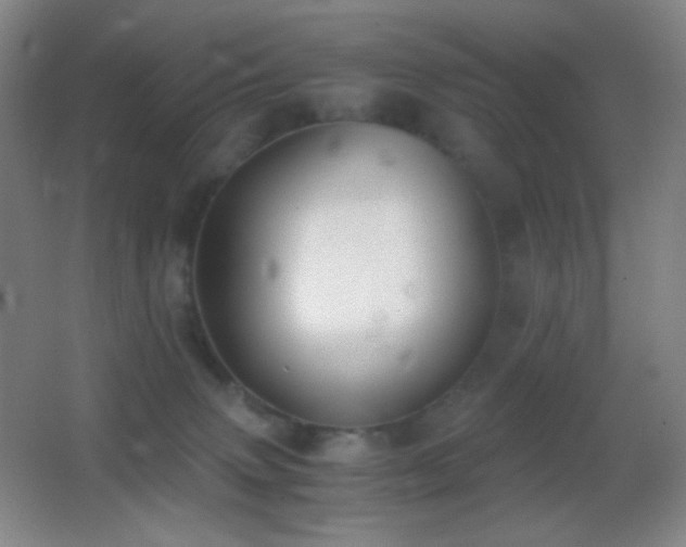 X0000062900083200601131411
