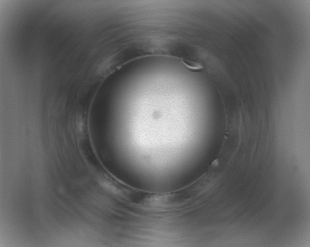 X0000062900084200601131411