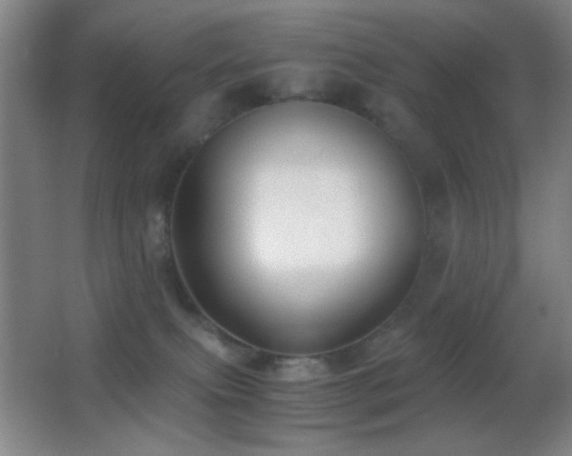 X0000062900087200601131411