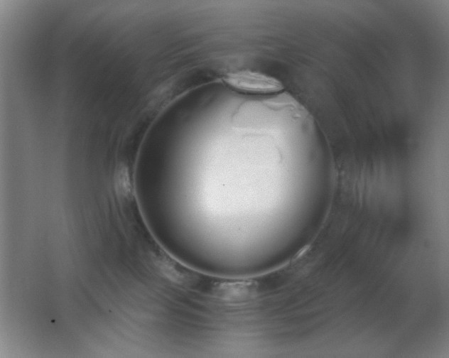 X0000062900089200601131411