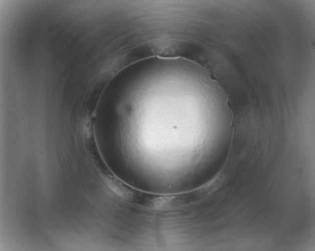 X0000062900090200601131411